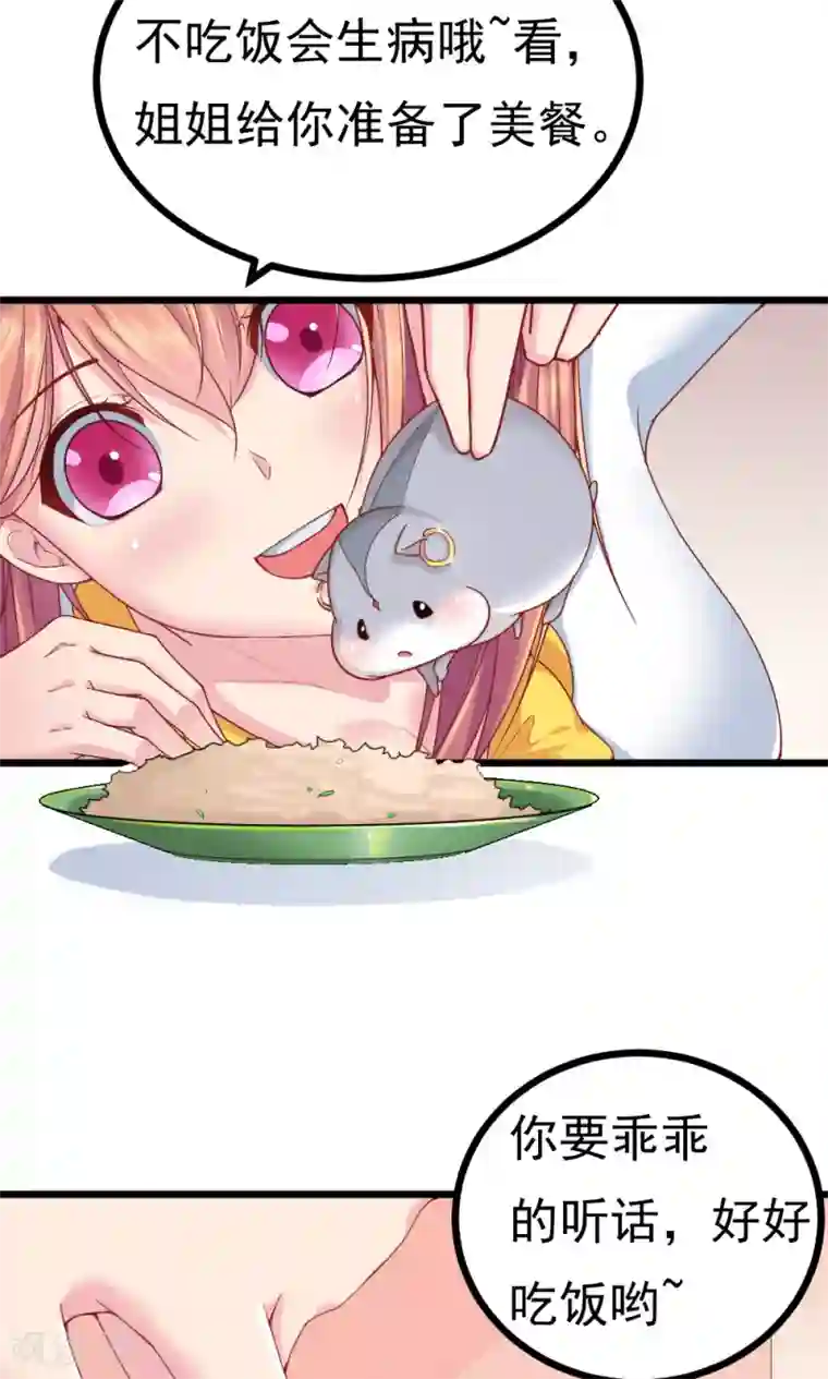 我的男神是仓鼠第2话