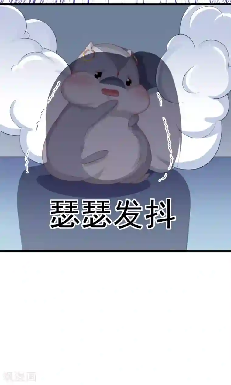 我的男神是仓鼠第3话