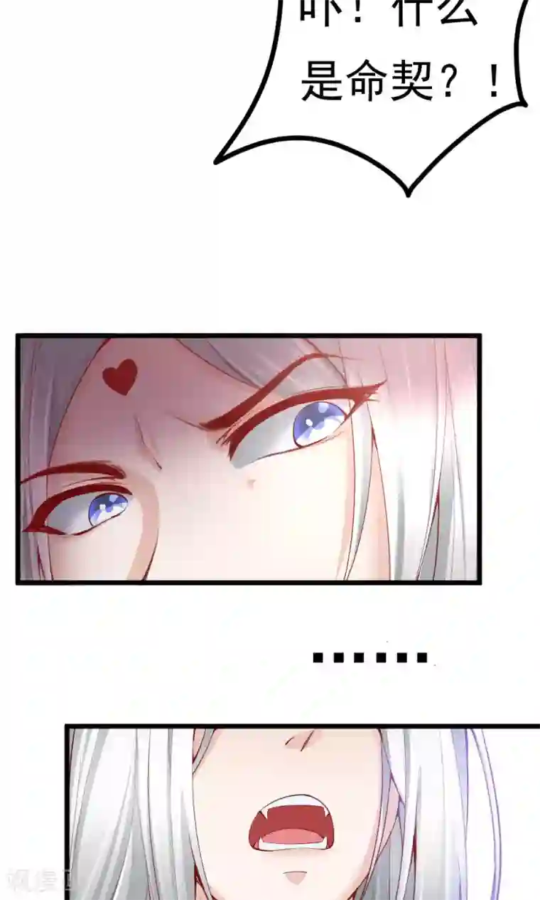 我的男神是仓鼠第5话