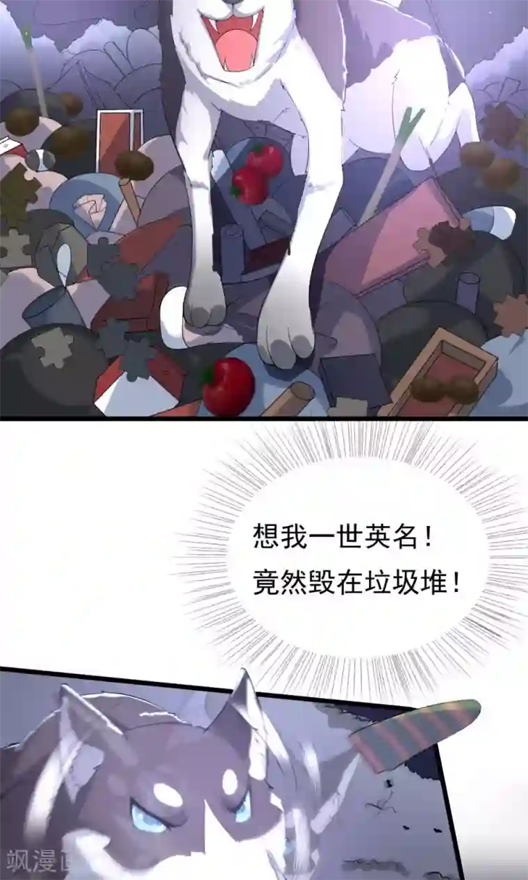 我的男神是仓鼠第5话