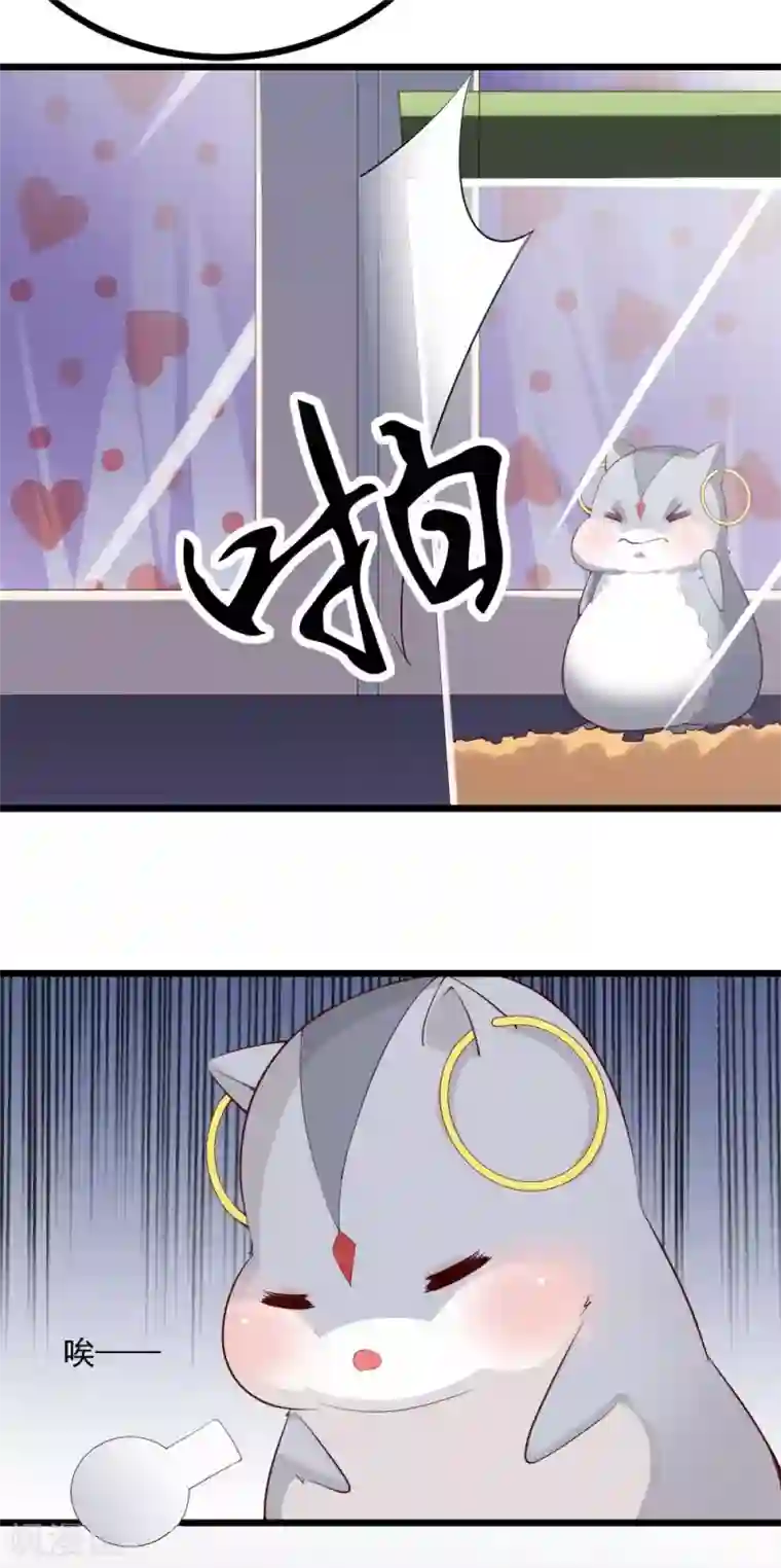 我的男神是仓鼠第10话