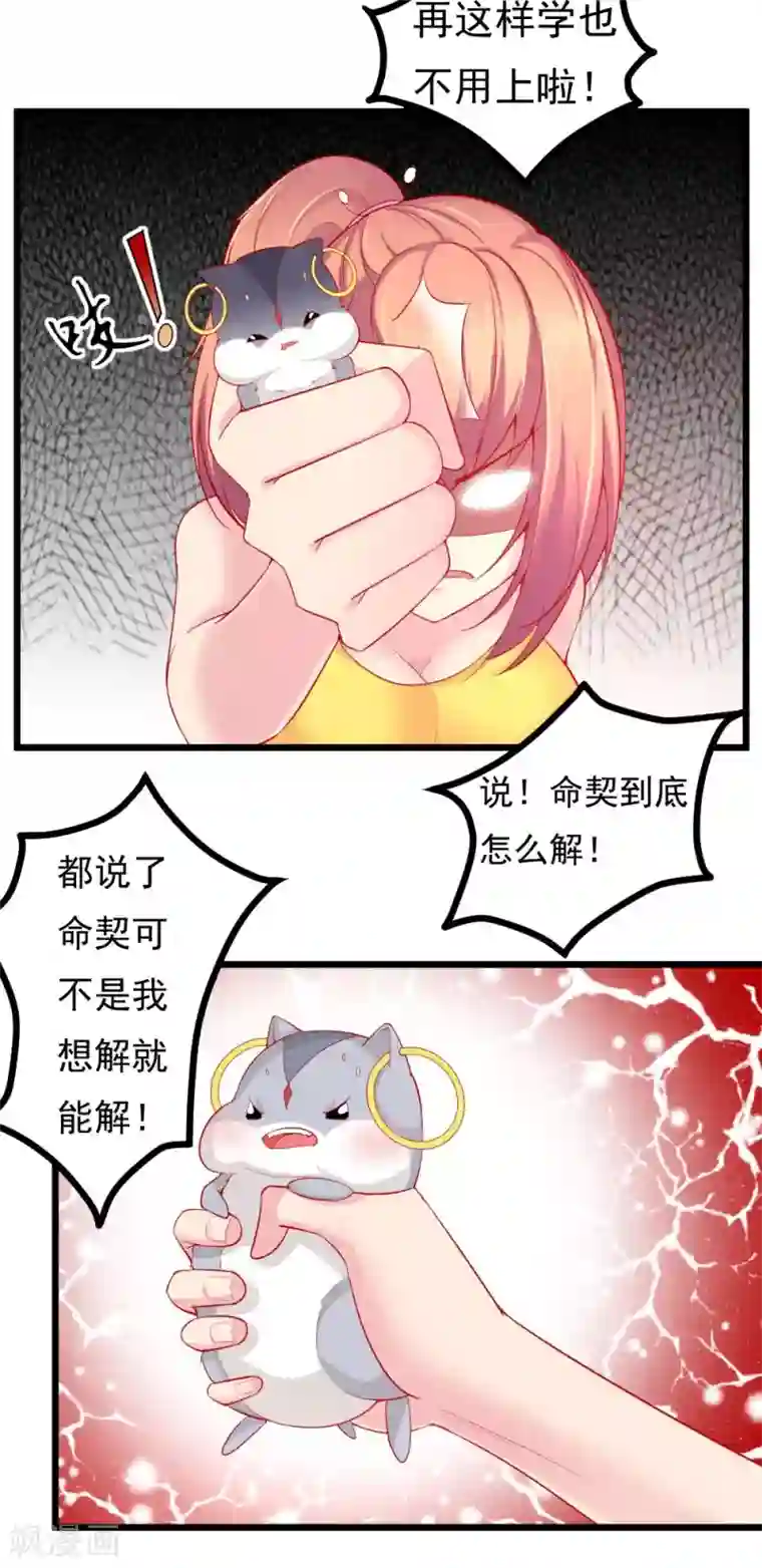 我的男神是仓鼠第10话