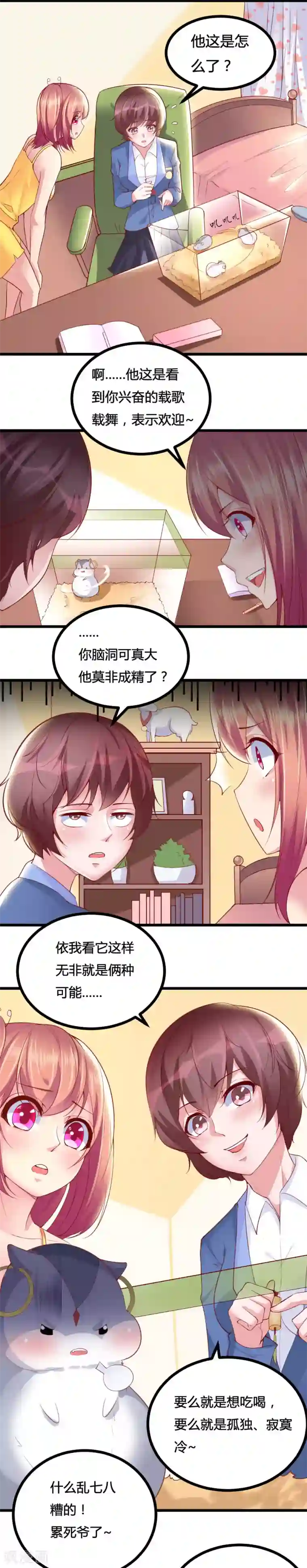 我的男神是仓鼠第17话