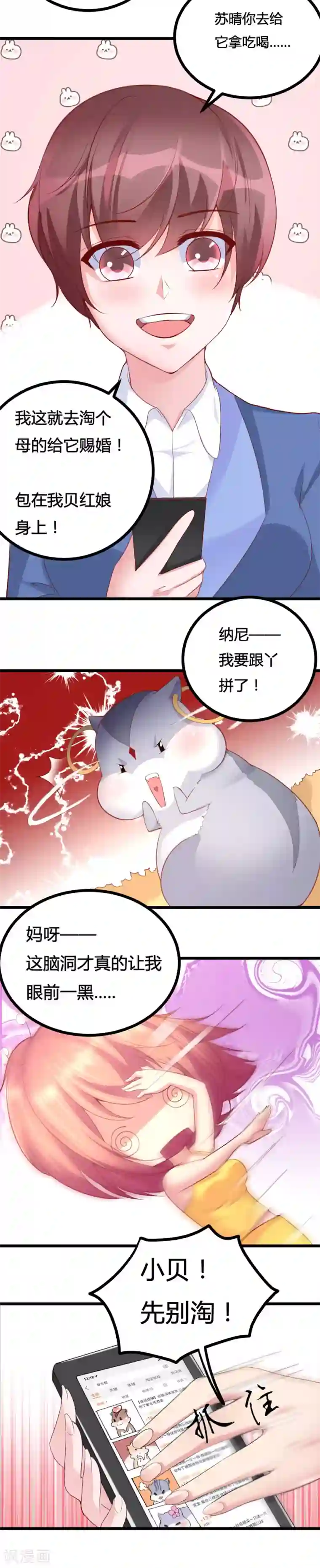 我的男神是仓鼠第17话