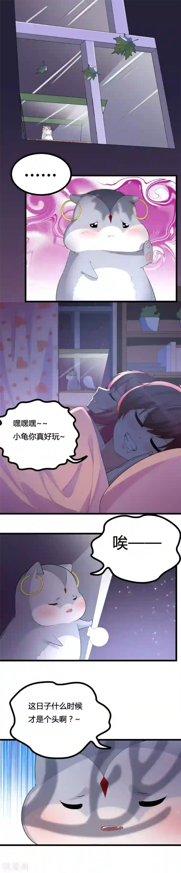 我的男神是仓鼠第19话