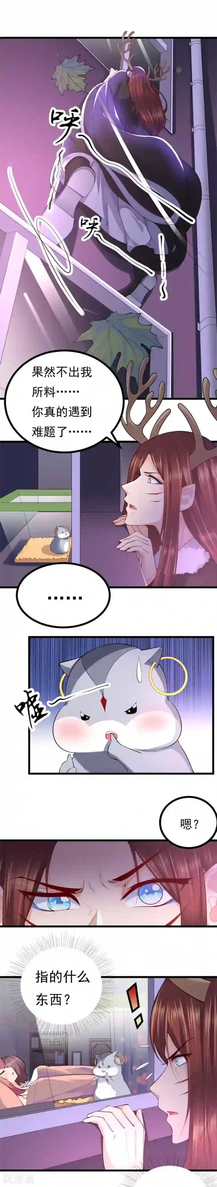 我的男神是仓鼠第20话