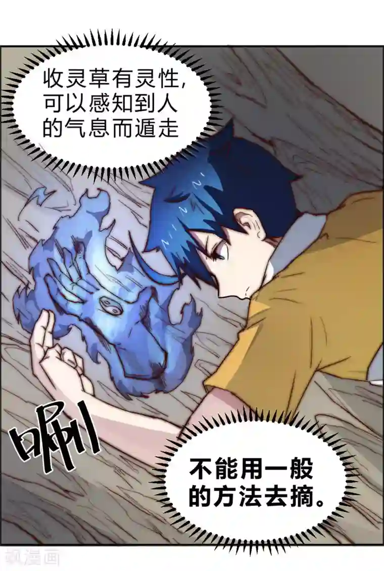 最强妖孽第73话 得到收灵草了！