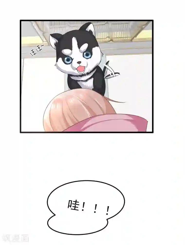 独家宠爱：我的甜心宝贝第26话 好事成双，惊喜连连
