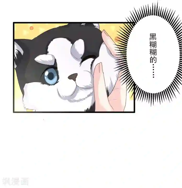 独家宠爱：我的甜心宝贝第26话 好事成双，惊喜连连
