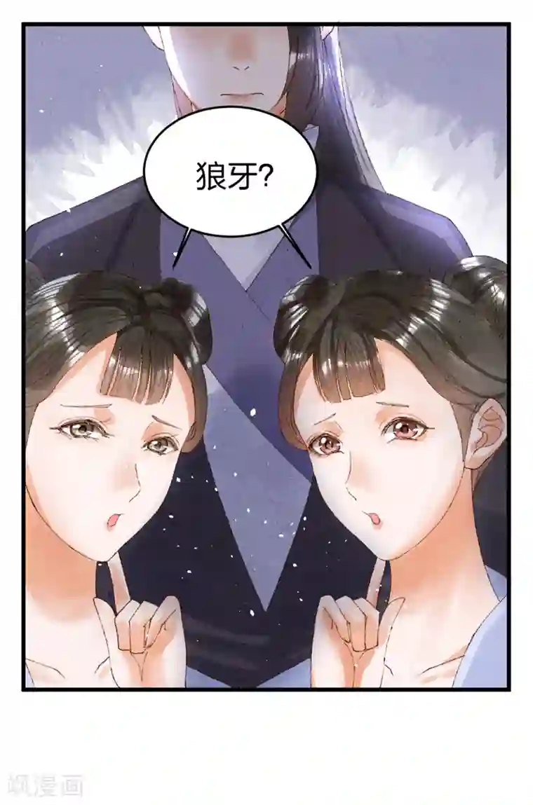 医妃倾城：王妃要休夫第20话 暗卫