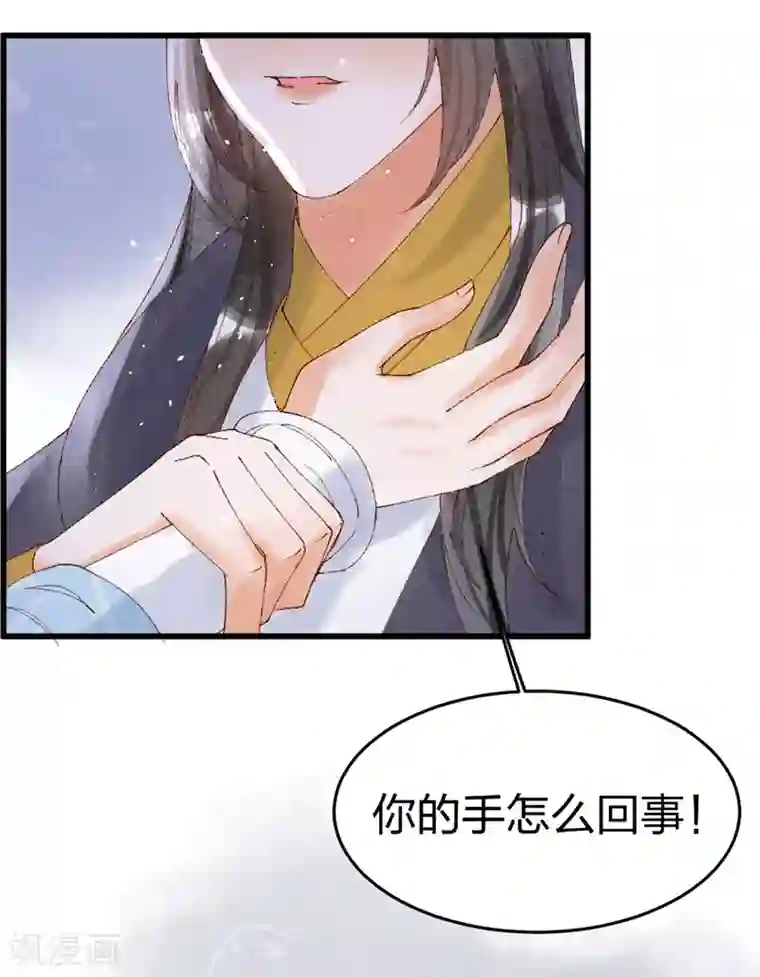 医妃倾城：王妃要休夫第27话 见二小姐