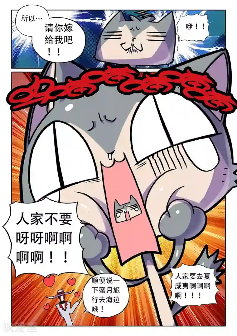15秒刀小刀视频第24话 幕后黑手喵！3