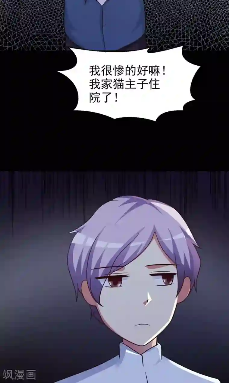 脑洞密码第4话 黑猫怪谈1