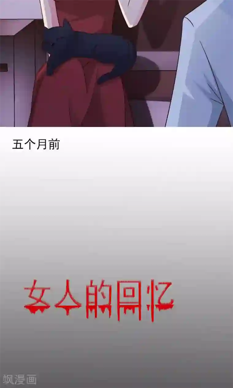 脑洞密码第4话 黑猫怪谈1