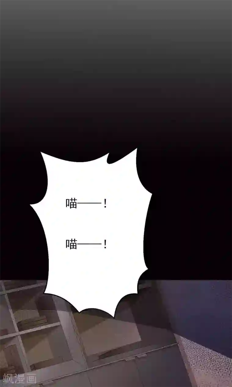 脑洞密码第4话 黑猫怪谈1