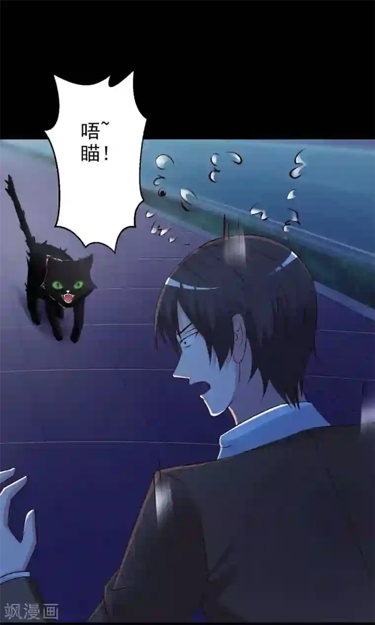 脑洞密码第4话 黑猫怪谈1