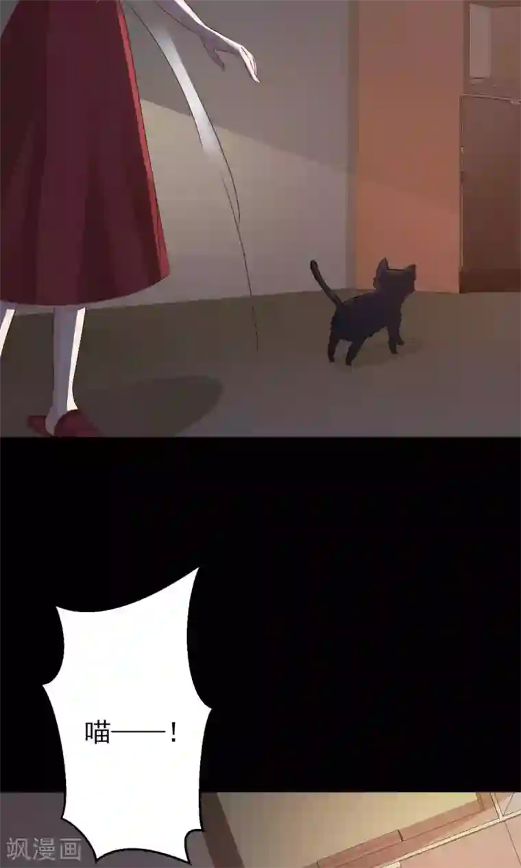 脑洞密码第4话 黑猫怪谈1