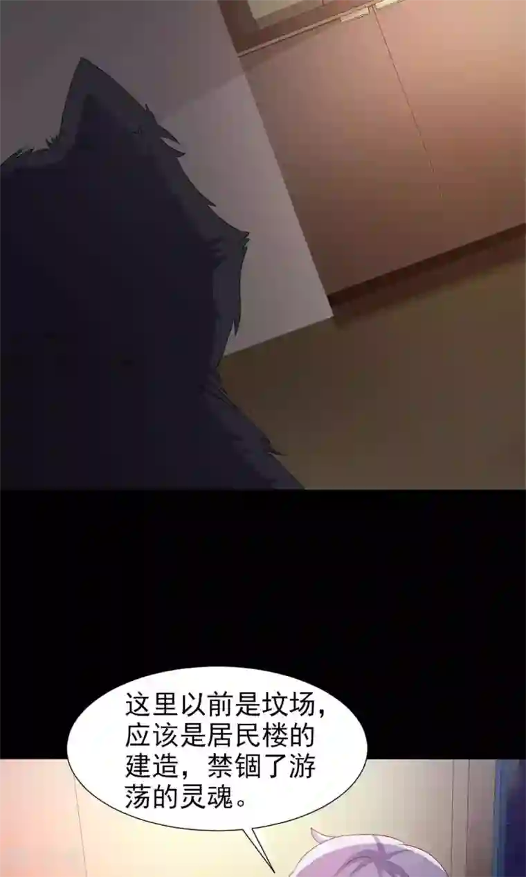 脑洞密码第4话 黑猫怪谈1