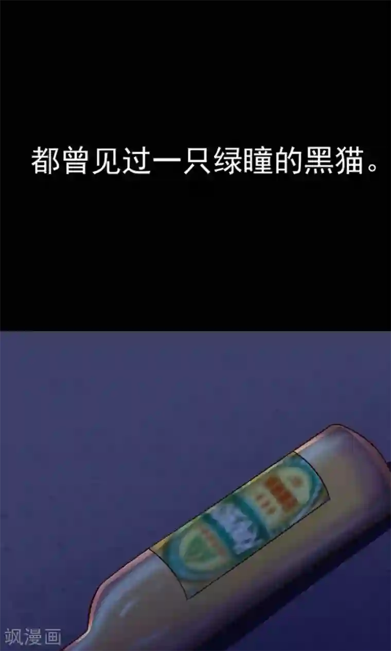 脑洞密码第4话 黑猫怪谈1