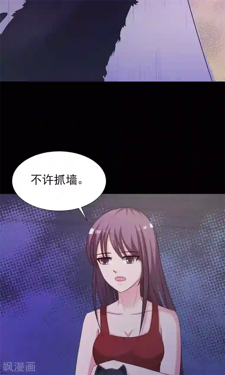 脑洞密码第4话 黑猫怪谈1