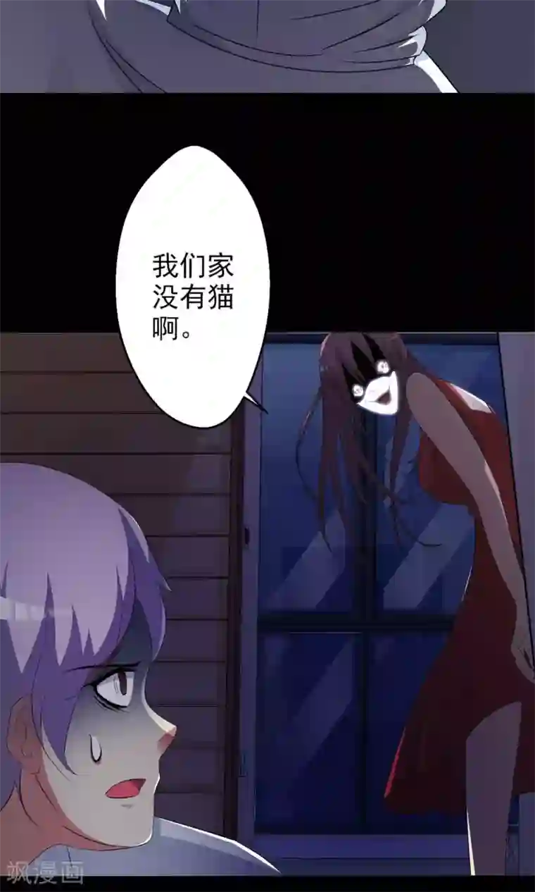 脑洞密码第5话 黑猫怪谈2