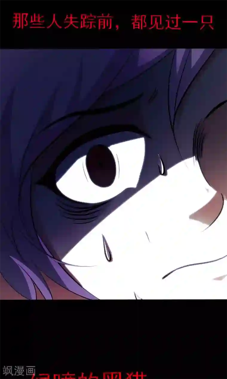 脑洞密码第5话 黑猫怪谈2