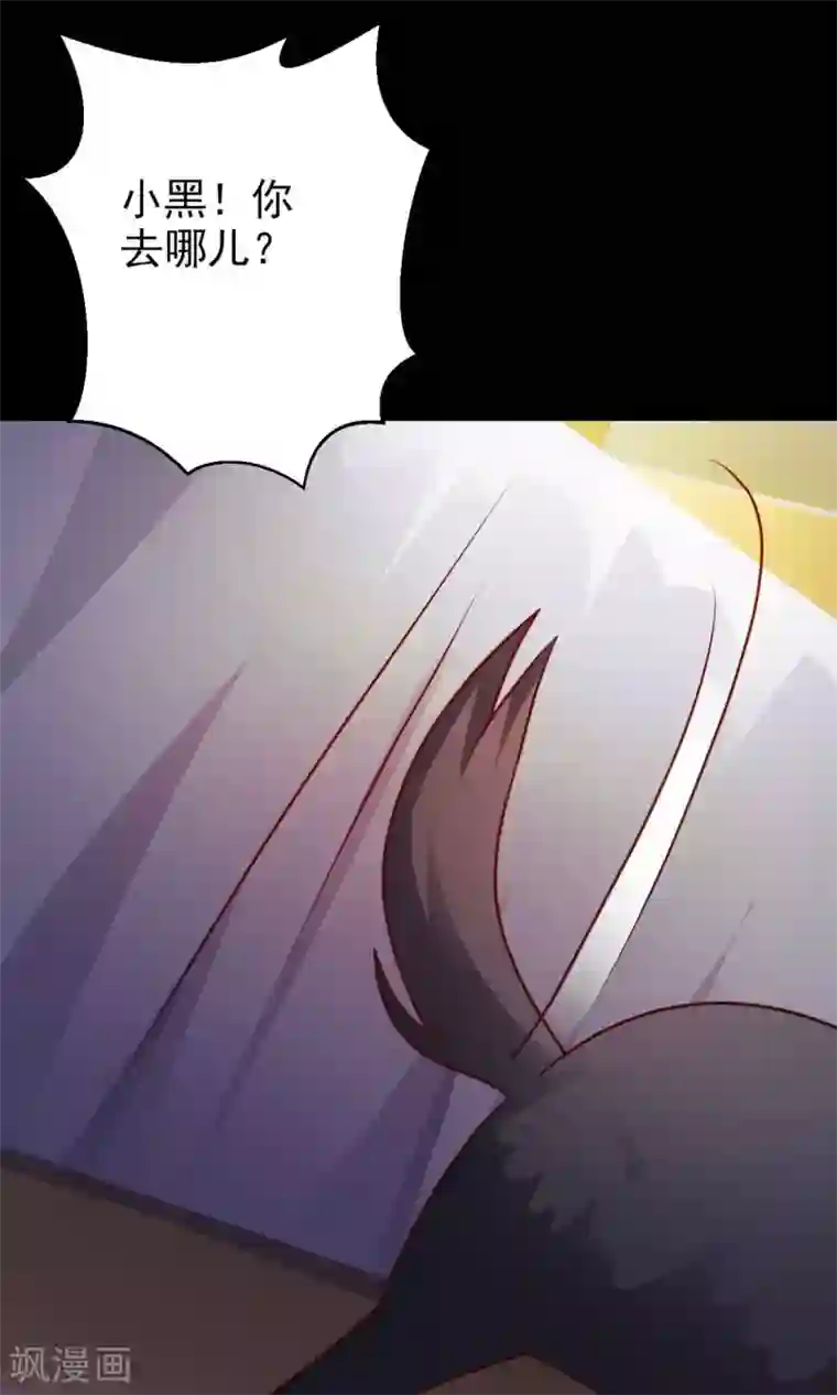 脑洞密码第5话 黑猫怪谈2