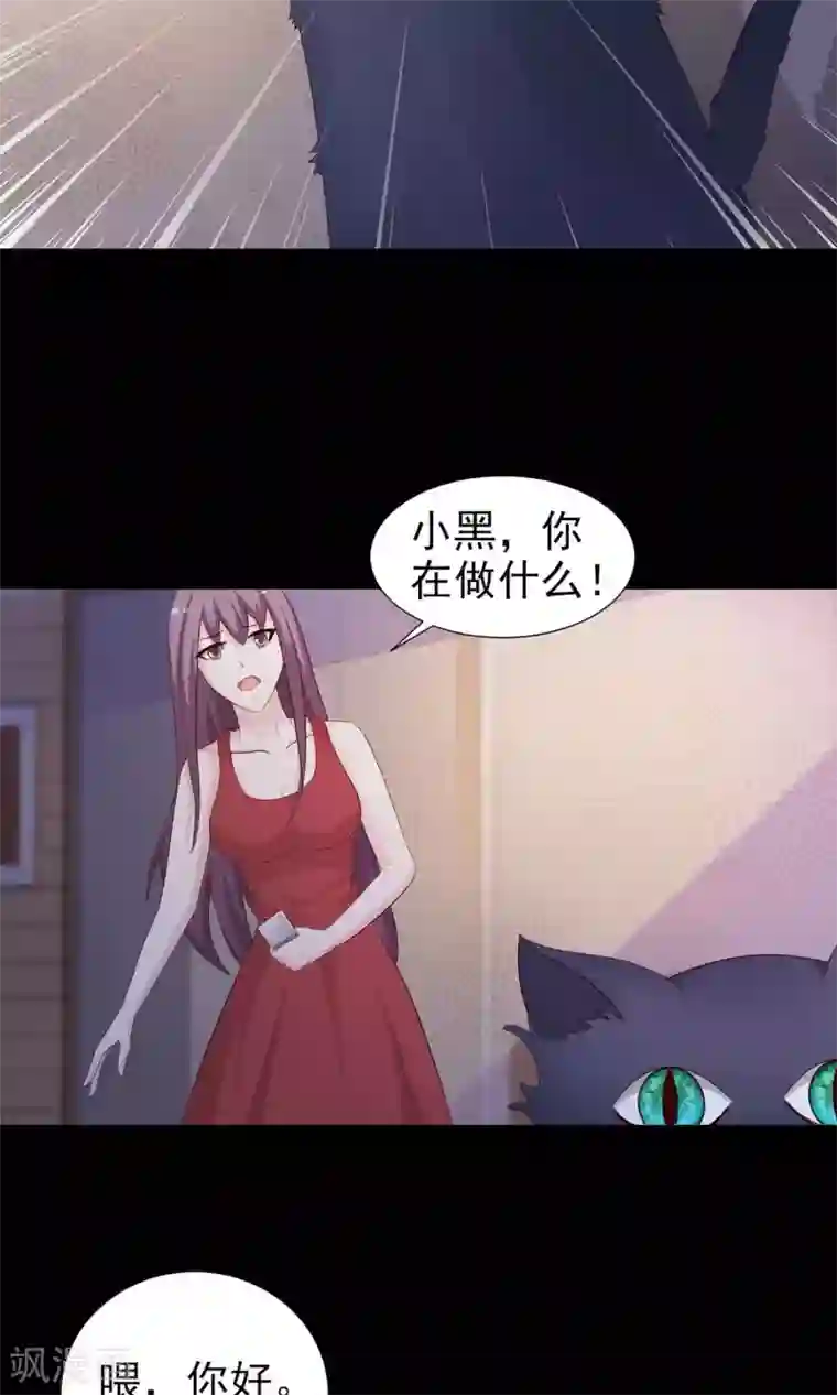 脑洞密码第5话 黑猫怪谈2