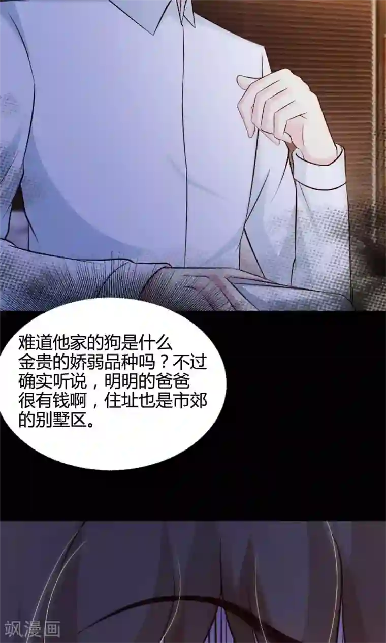 脑洞密码第26话 我是爸爸的一条狗2