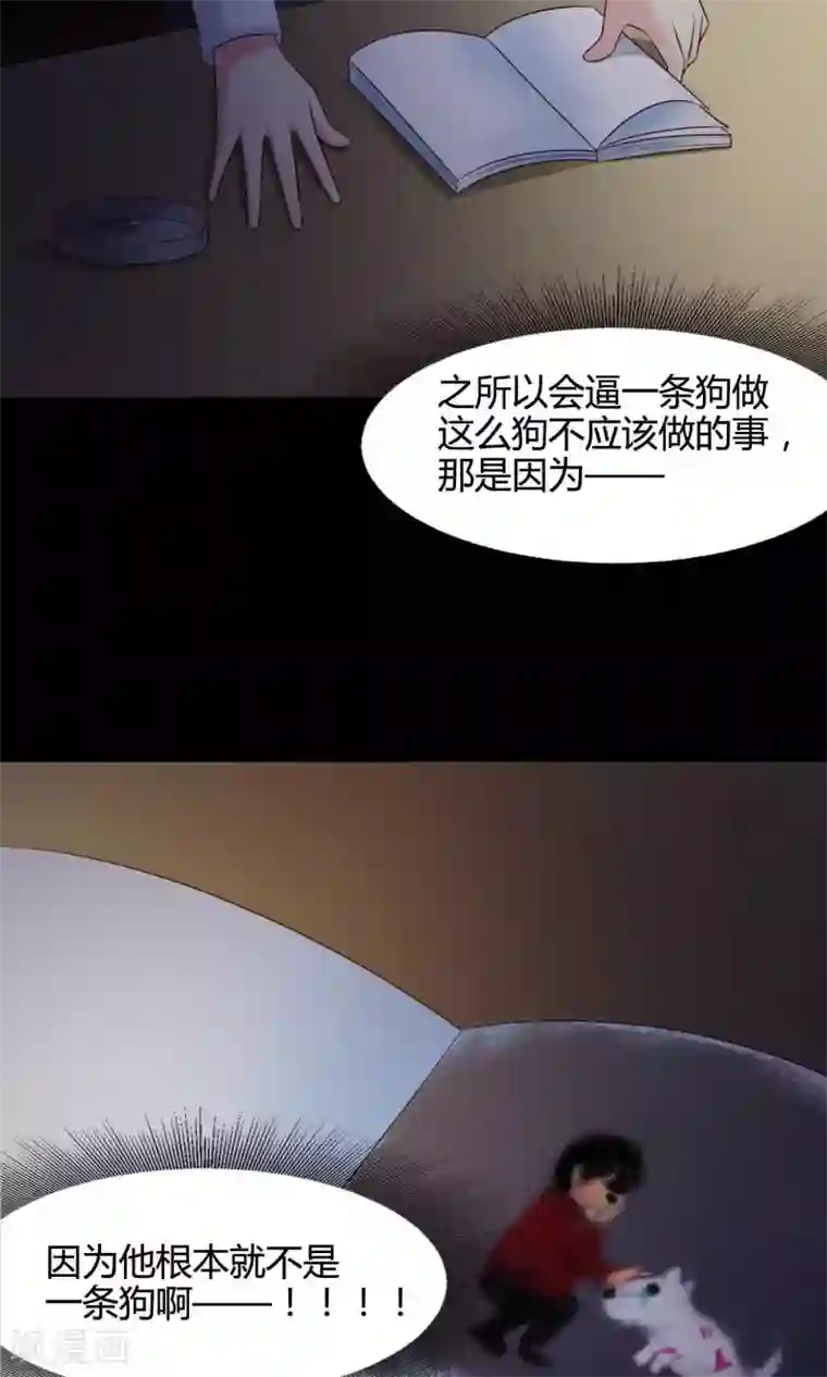 脑洞密码第26话 我是爸爸的一条狗2