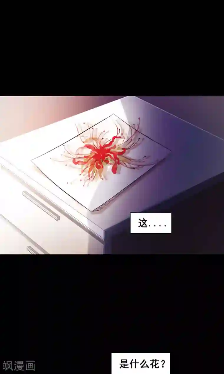 脑洞密码第31话 那花未名1