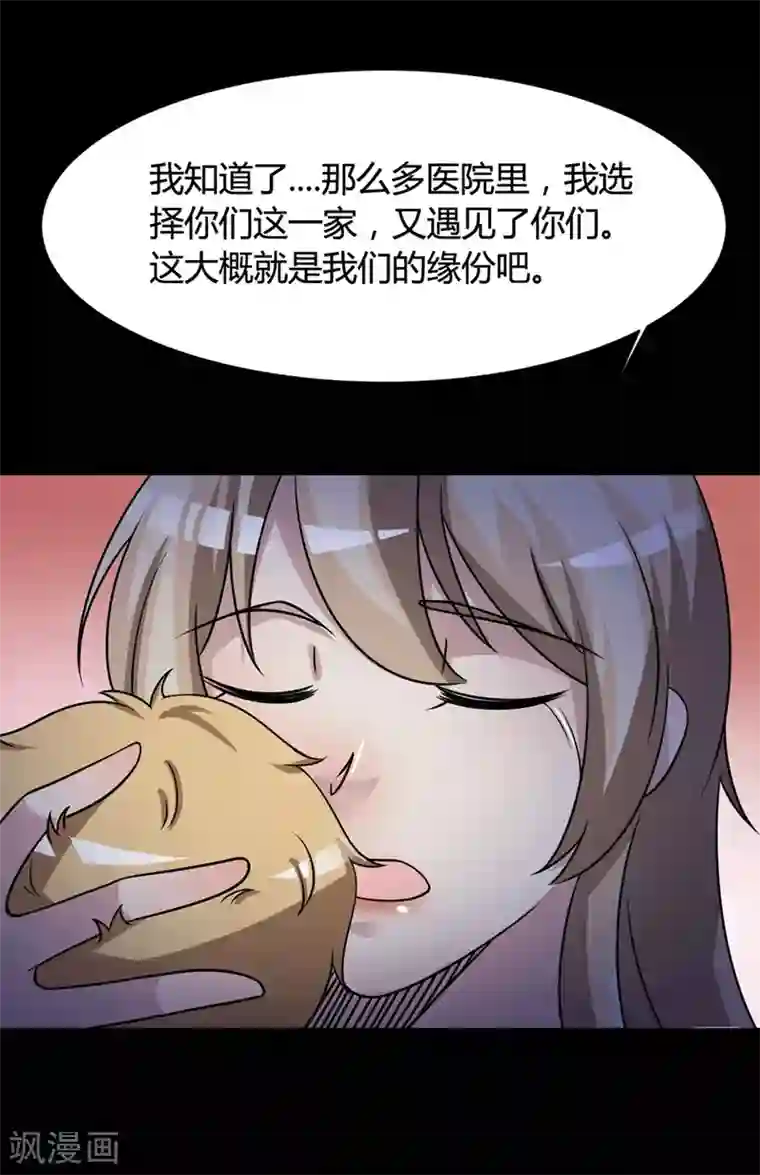 脑洞密码最终话 孕育4