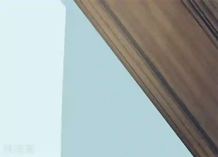 修罗少爷太嚣张第12话