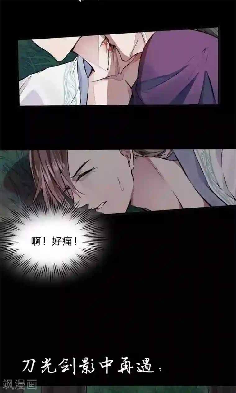 拱手河山为君倾预告