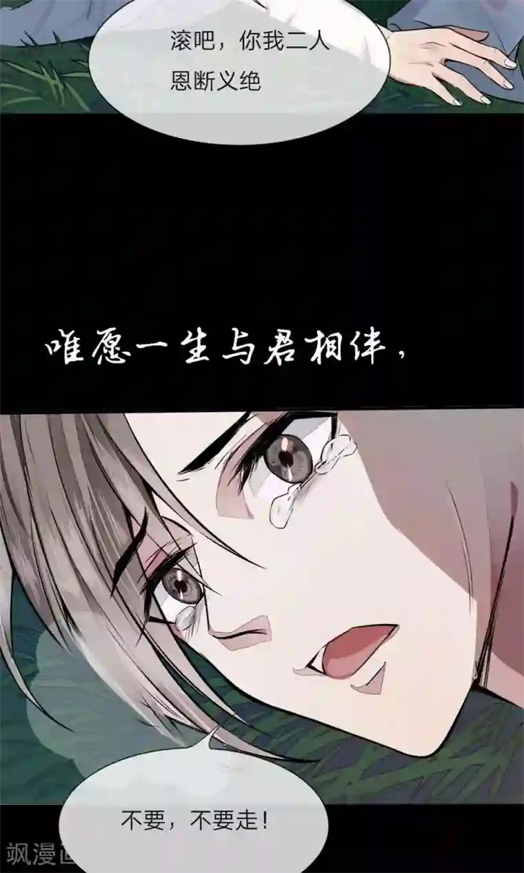 拱手河山为君倾预告