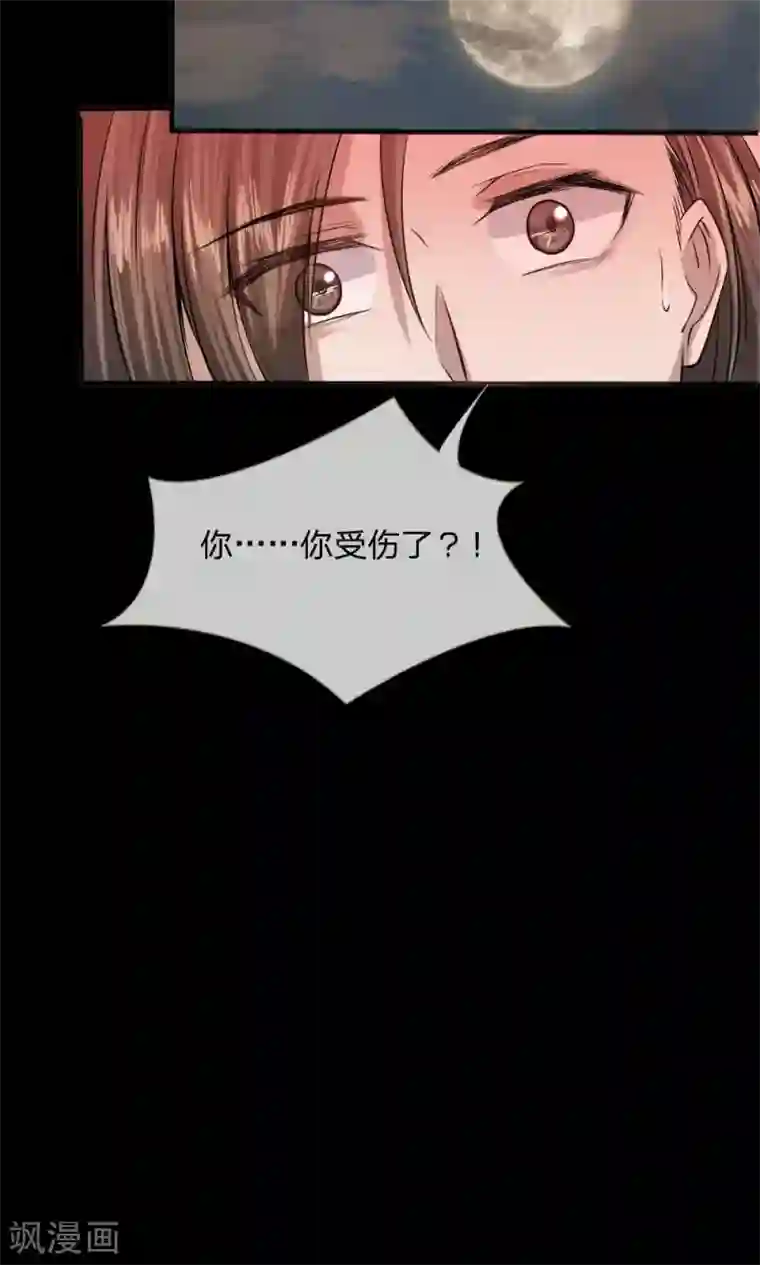 拱手河山为君倾预告