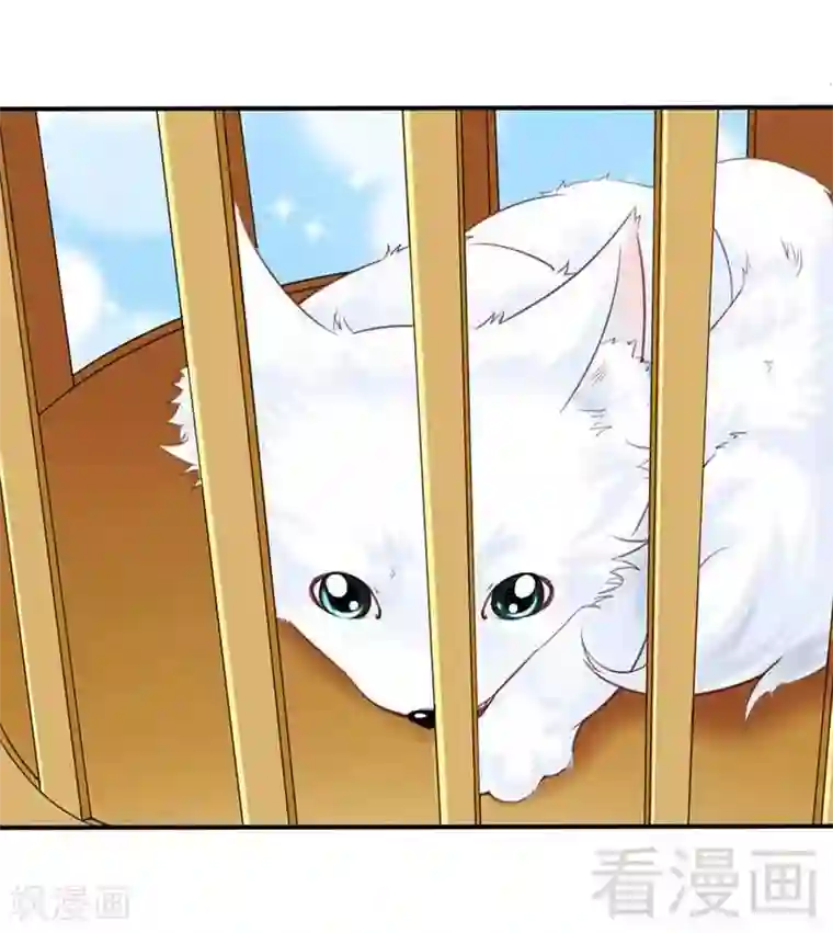 娇女毒妃第106话