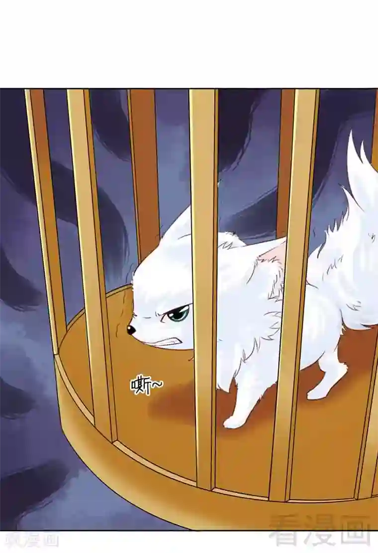 娇女毒妃第106话