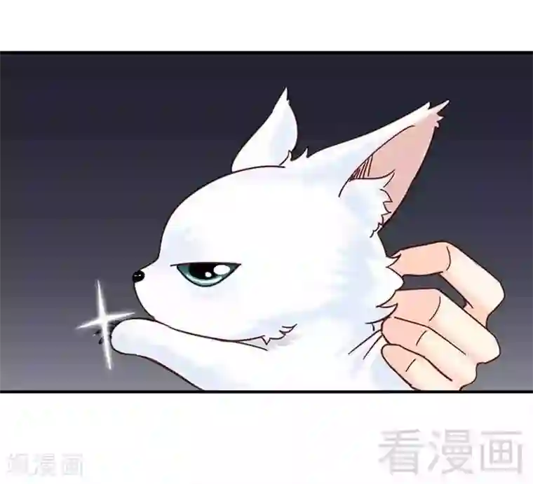 娇女毒妃第107话