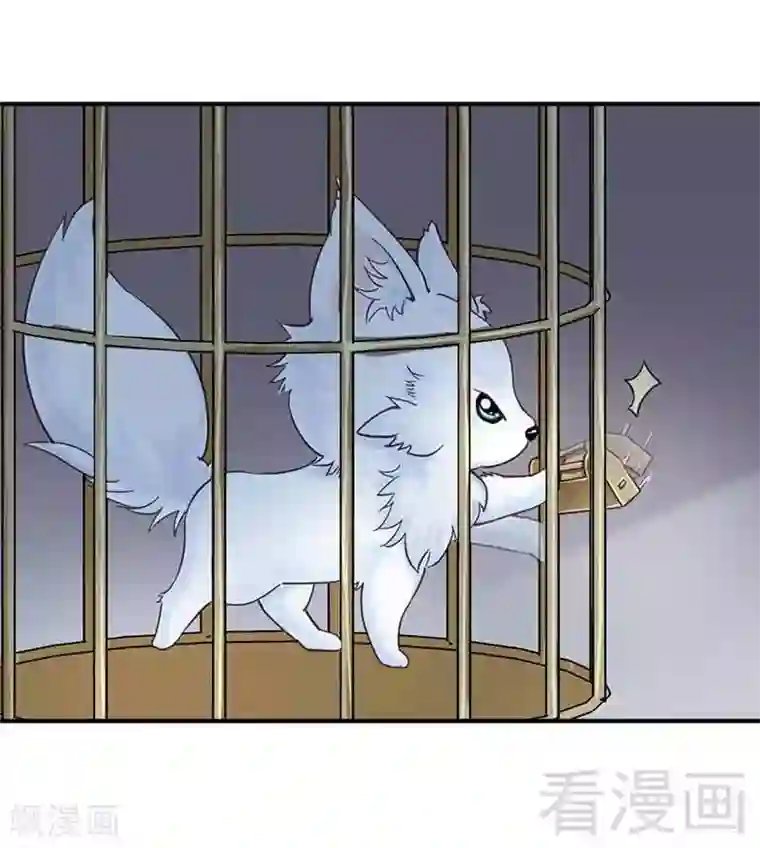 娇女毒妃第107话