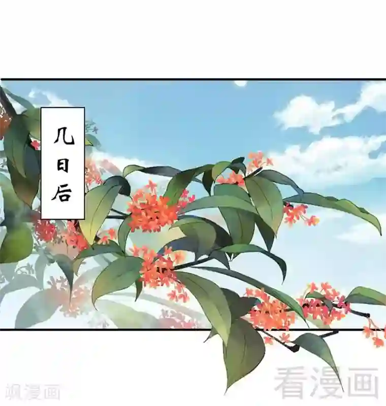 娇女毒妃第117话