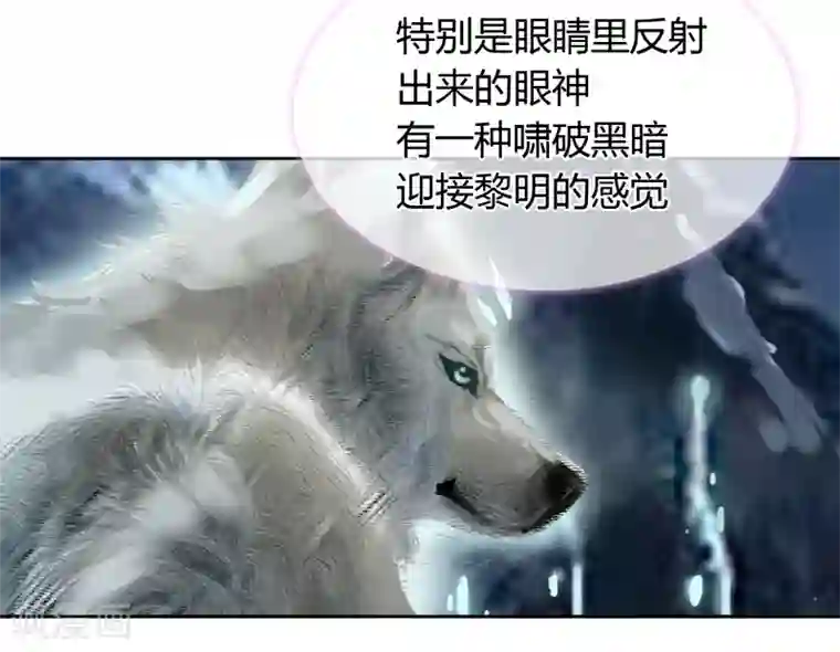 霸道忠犬寻爱记第29话 画像