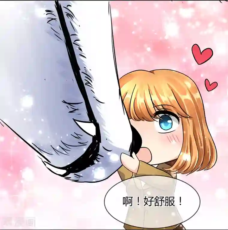 霸道忠犬寻爱记第45话 认主