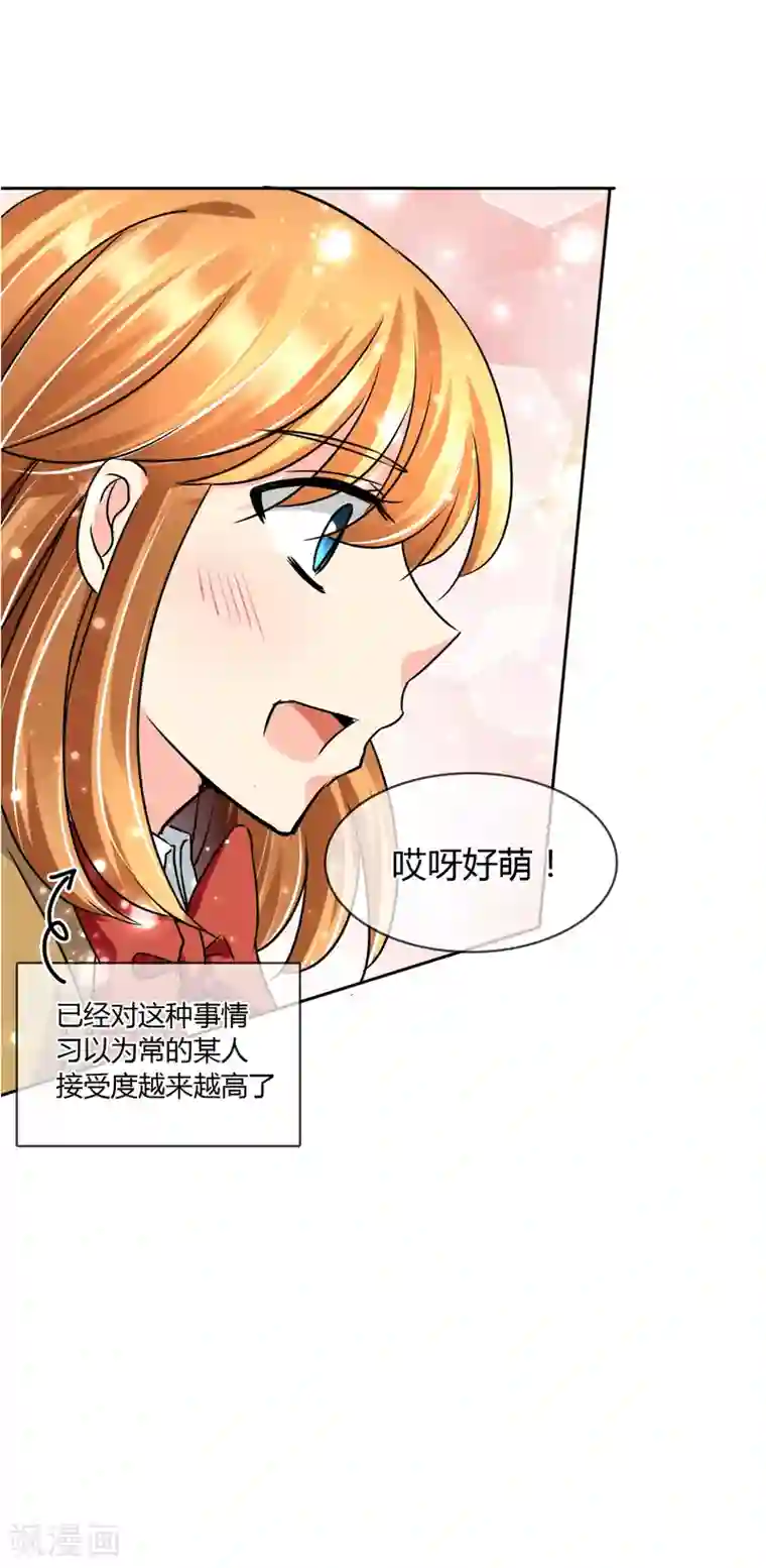 霸道忠犬寻爱记第46话 似曾相识的套路