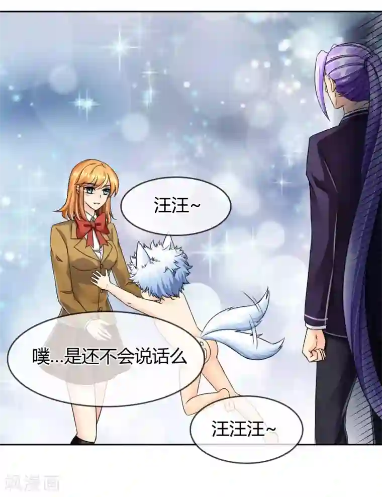 霸道忠犬寻爱记第47话 危机解除？