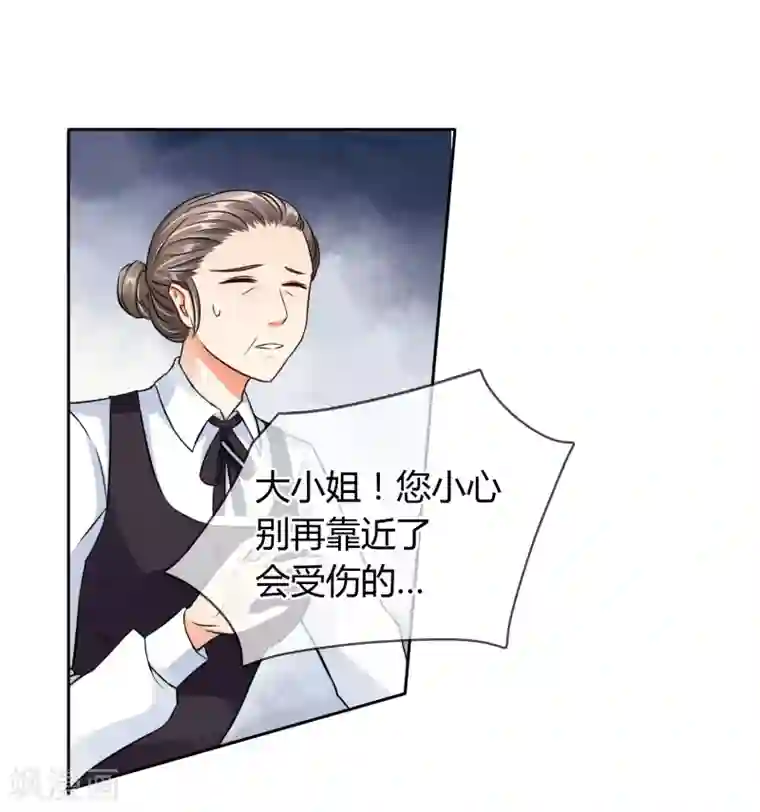 霸道忠犬寻爱记第56话 阴谋