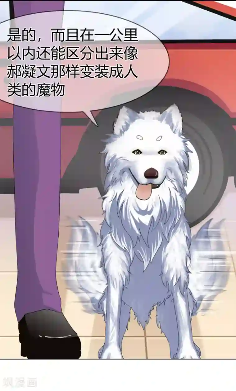 霸道忠犬寻爱记第115话 奥利