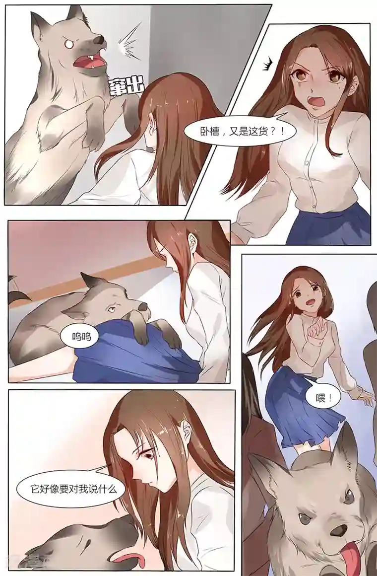 热辣新妻第61话