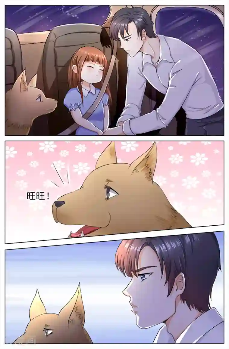 热辣新妻第114话