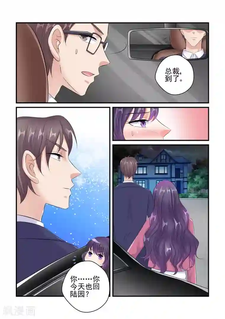 无效婚约：前妻要改嫁第88话 苏家的女婿
